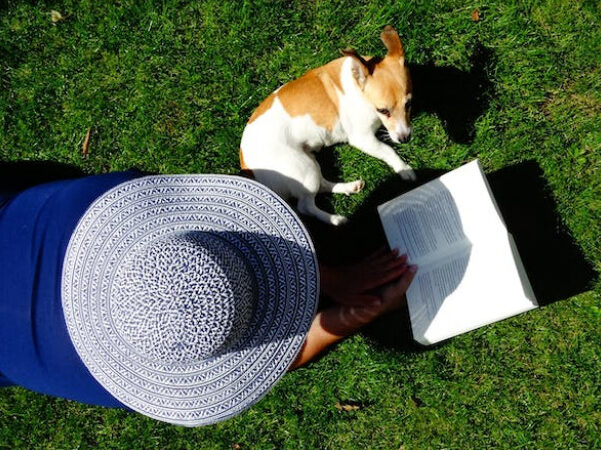 Ways Technology Is Revolutionizing Pet Care for Busy Professionals