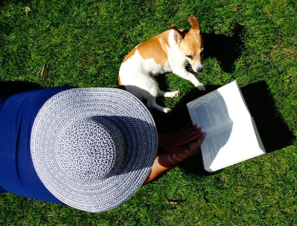 Ways Technology Is Revolutionizing Pet Care for Busy Professionals
